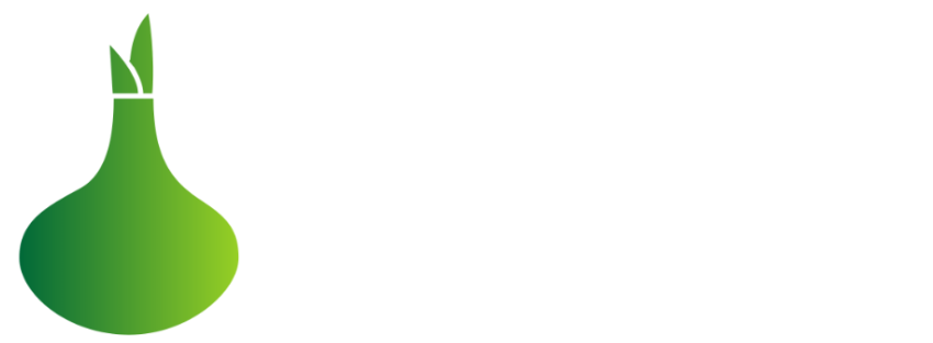 ed6b0075e756a7c3833e2fdba518e98